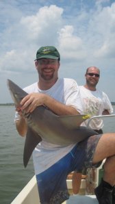 The sandbar shark (pictured here in Charleston Harbor, South Carolina) is one of the biggest coastal sharks in the world.