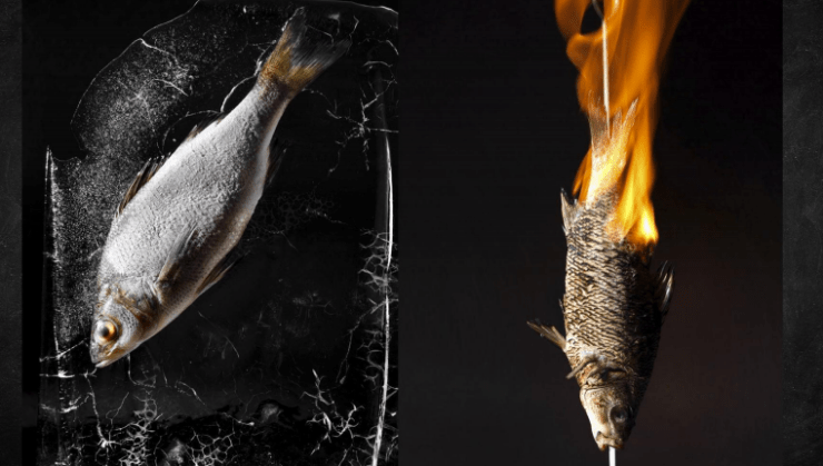 Screen Shot 2016-01-24 at 9.04.47 PM